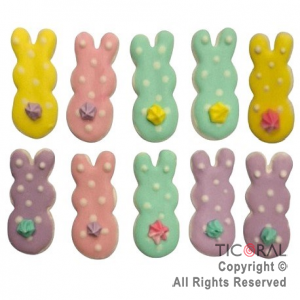 ADORNO CONEJO PUNTITOS x 10